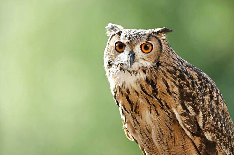 まずは明るさをアップしてみよう。