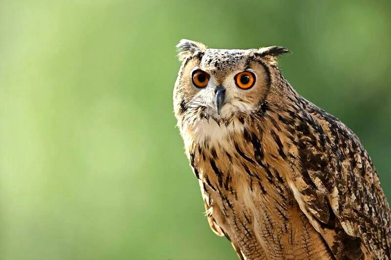 コントラストを少し上げたいときは？