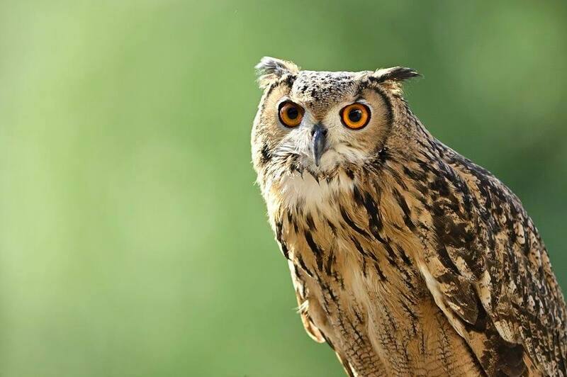 青っぽい写真を“あたたかく”整えたいとき